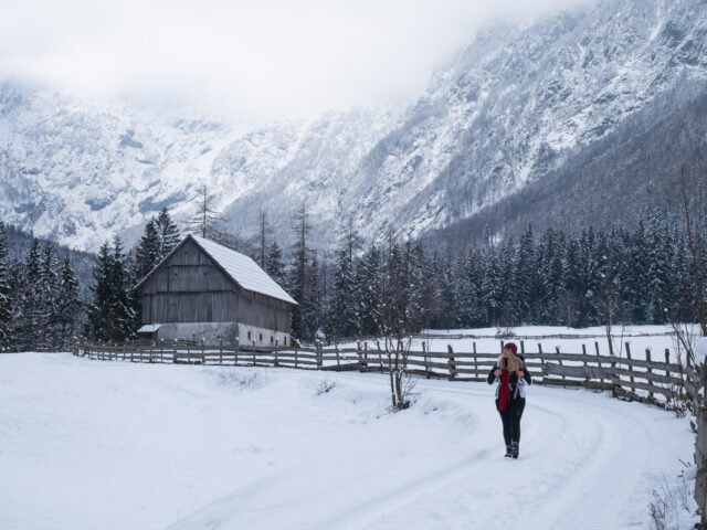 Winter Hike in Robanov Kot