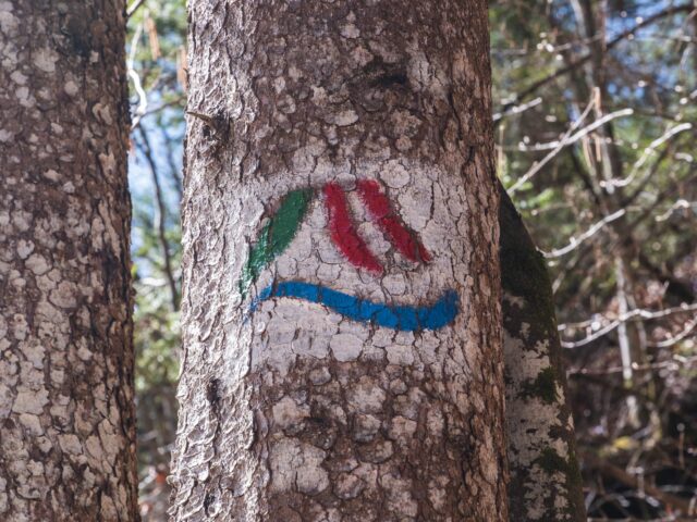 Alpe-Adria Trail: The Slovenian Stages